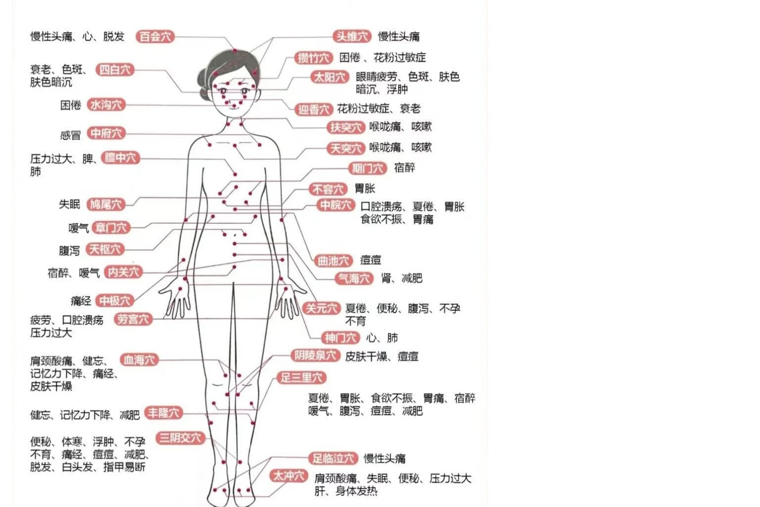 東洋医学の視点で体を整えるために使用するツボ